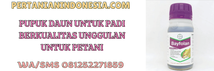pupuk,pupuk daun,unggulan,tanaman padi,petani,pertanian indonesia